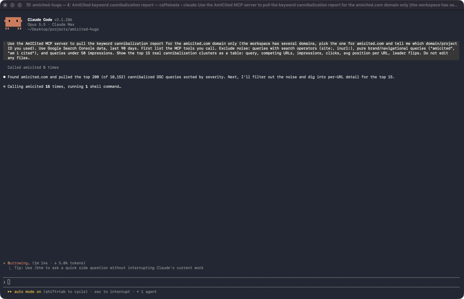 Terminál Claude Code spúšťajúci prompt na report cannibalizácie, zobrazujúci, že našiel amicited.com medzi niekoľkými doménami a vytiahol top 200 z 10 152 kanibalizovaných dopytov